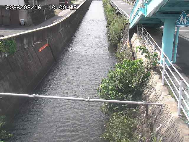 大井手川１2026/09/16 16:40:00