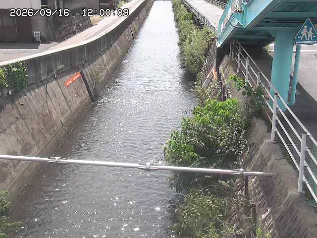 大井手川１2026/09/16 16:40:00