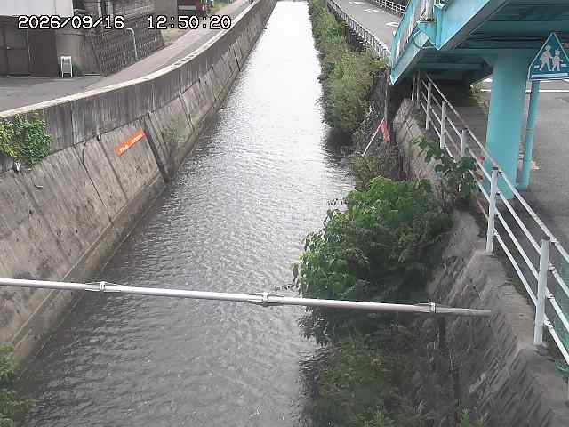 大井手川１2026/09/16 16:40:00