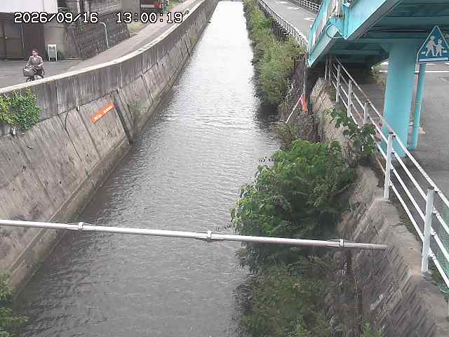 大井手川１2026/09/16 16:40:00