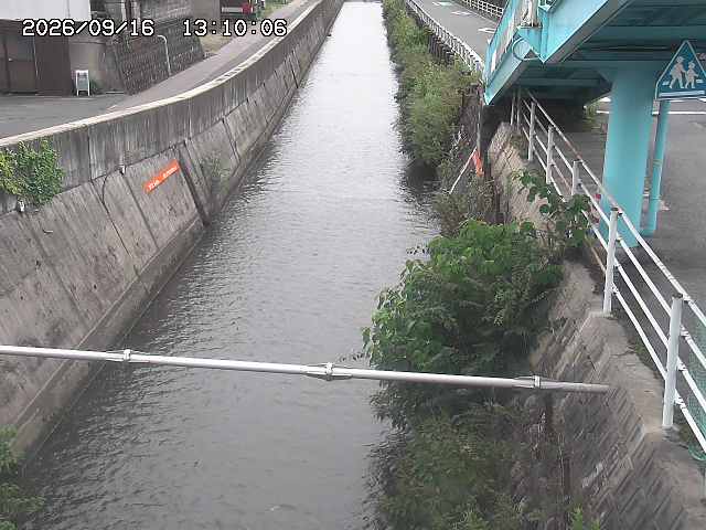 大井手川１2026/09/16 16:40:00