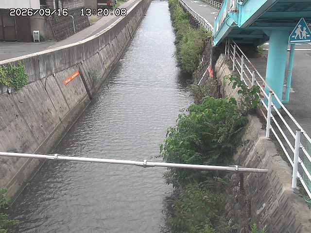 大井手川１2026/09/16 16:40:00