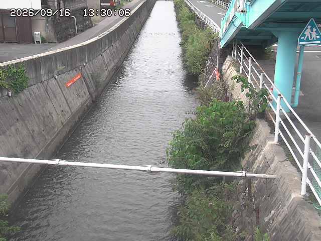 大井手川１2026/09/16 16:40:00