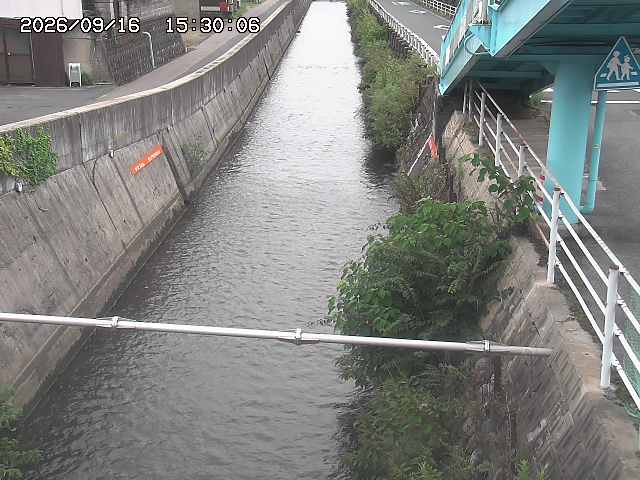 大井手川１2026/09/16 16:40:00
