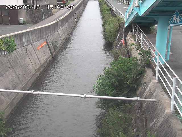 大井手川１2026/09/16 16:40:00