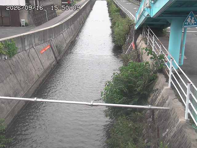 大井手川１2026/09/16 16:40:00