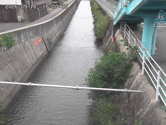 大井手川１2026/09/16 16:40:00