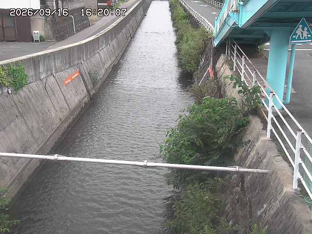 大井手川１2026/09/16 16:40:00