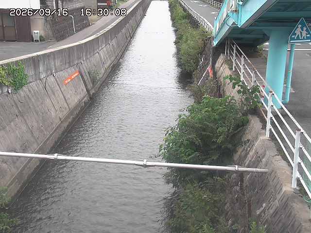 大井手川１2026/09/16 16:40:00