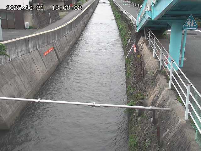 大井手川１2025/10/22 11:20:00