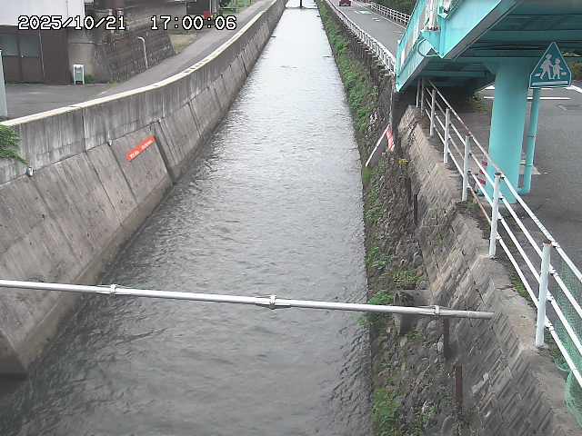 大井手川１2025/10/22 11:20:00