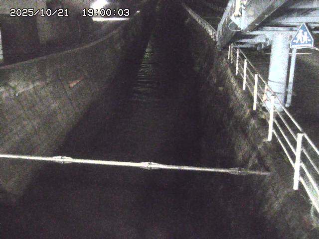 大井手川１2025/10/22 11:20:00