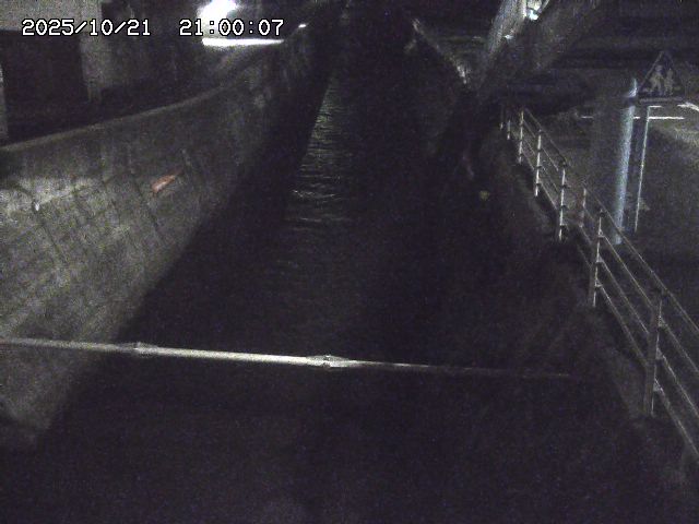 大井手川１2025/10/22 11:20:00