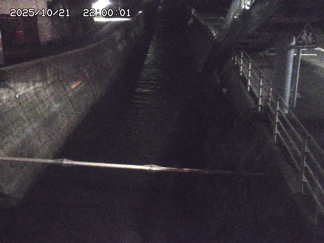 大井手川１2025/10/22 11:20:00