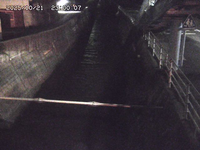 大井手川１2025/10/22 11:20:00