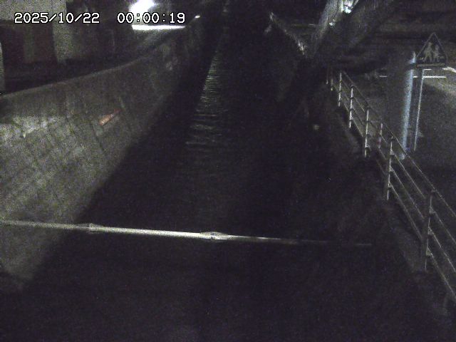 大井手川１2025/10/22 11:20:00