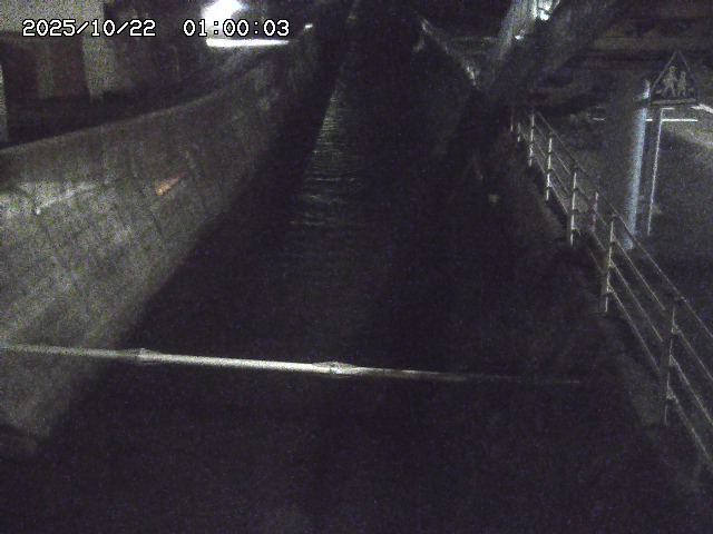 大井手川１2025/10/22 11:20:00