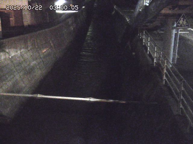 大井手川１2025/10/22 11:20:00