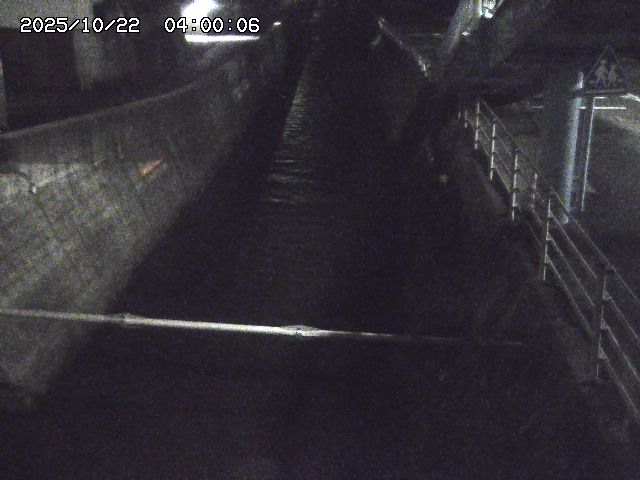 大井手川１2025/10/22 11:20:00