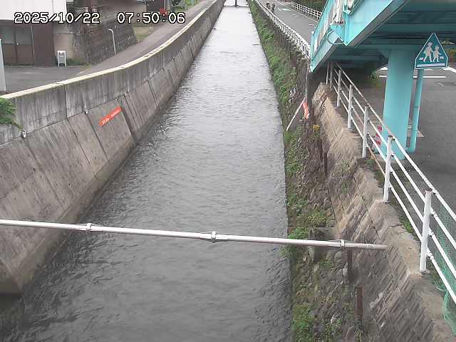 大井手川１2025/10/22 11:20:00