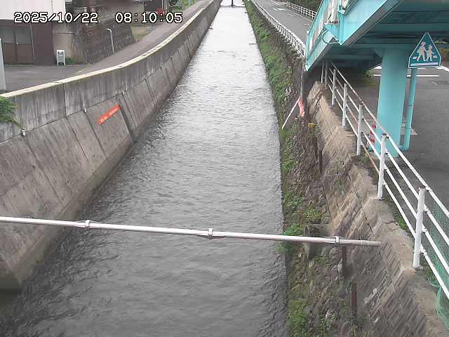 大井手川１2025/10/22 11:20:00