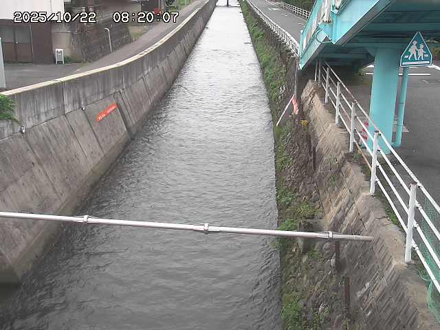 大井手川１2025/10/22 11:20:00