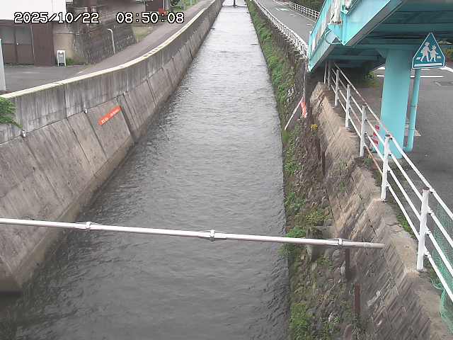 大井手川１2025/10/22 11:20:00