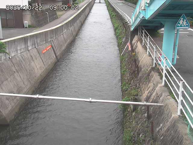大井手川１2025/10/22 11:20:00