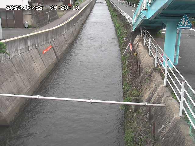 大井手川１2025/10/22 11:20:00