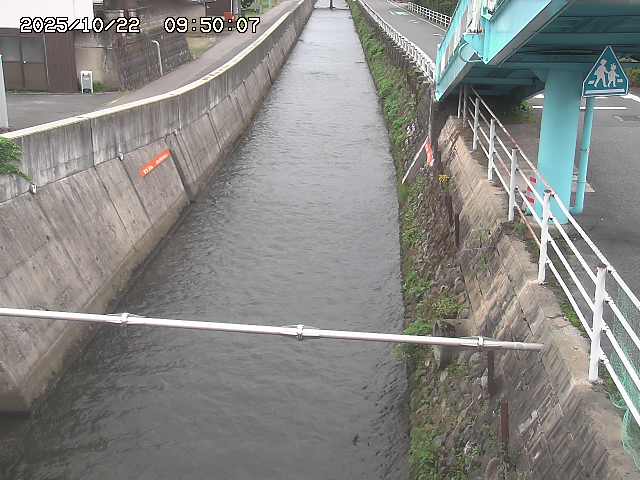 大井手川１2025/10/22 11:20:00