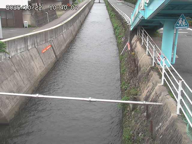 大井手川１2025/10/22 11:20:00