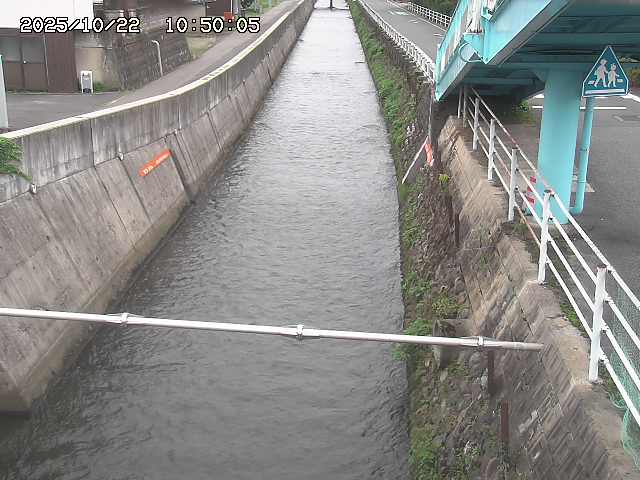 大井手川１2025/10/22 11:20:00