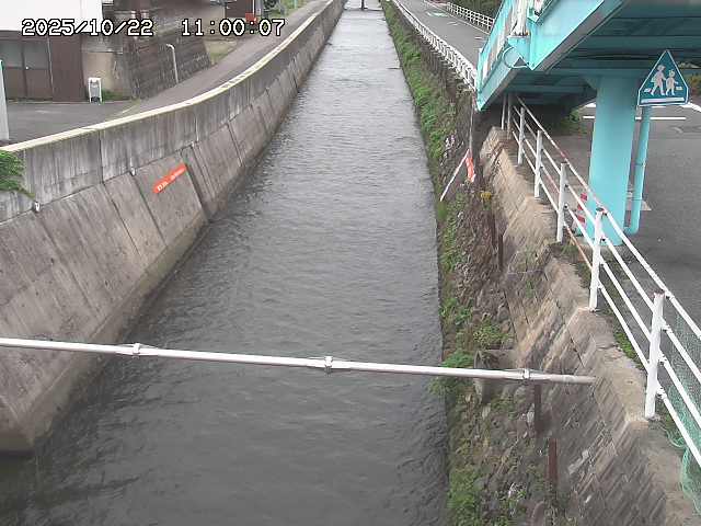 大井手川１2025/10/22 11:20:00