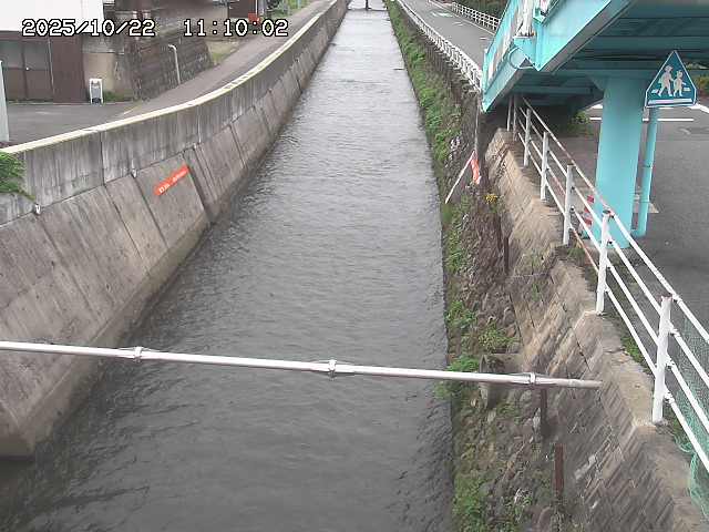 大井手川１2025/10/22 11:20:00