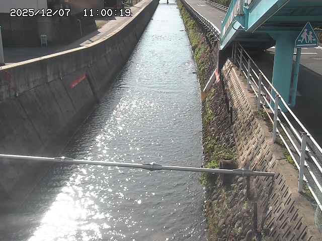 大井手川１2025/12/08 11:30:00