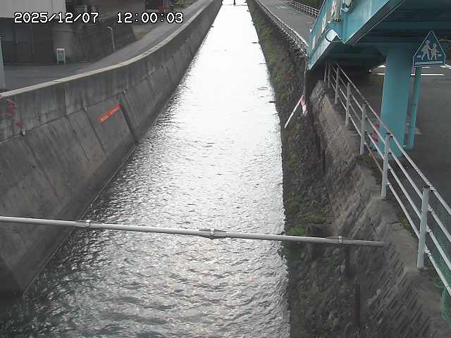 大井手川１2025/12/08 11:30:00