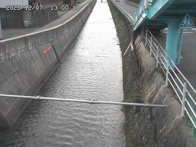 大井手川１2025/12/08 11:30:00