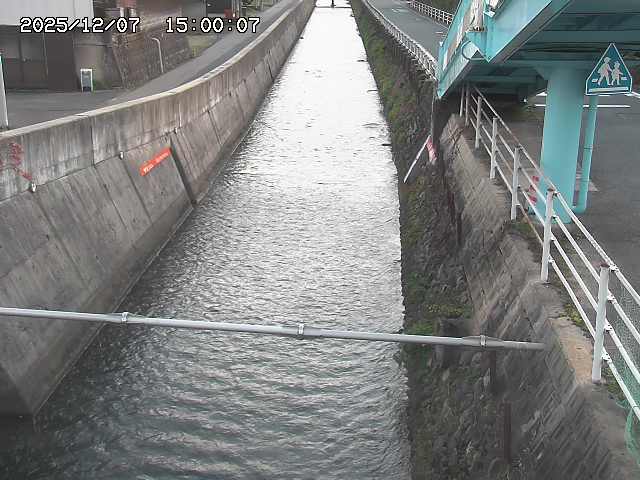 大井手川１2025/12/08 11:30:00