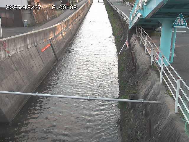 大井手川１2025/12/08 11:30:00