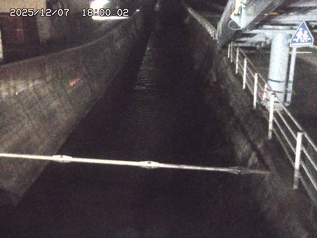 大井手川１2025/12/08 11:30:00