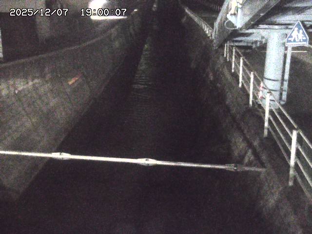 大井手川１2025/12/08 11:30:00