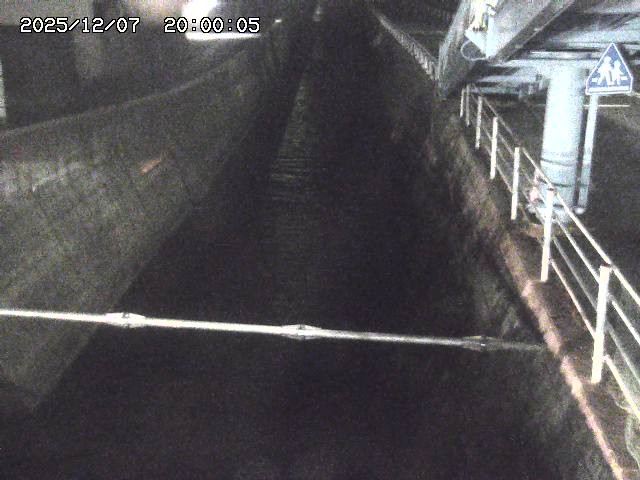 大井手川１2025/12/08 11:30:00