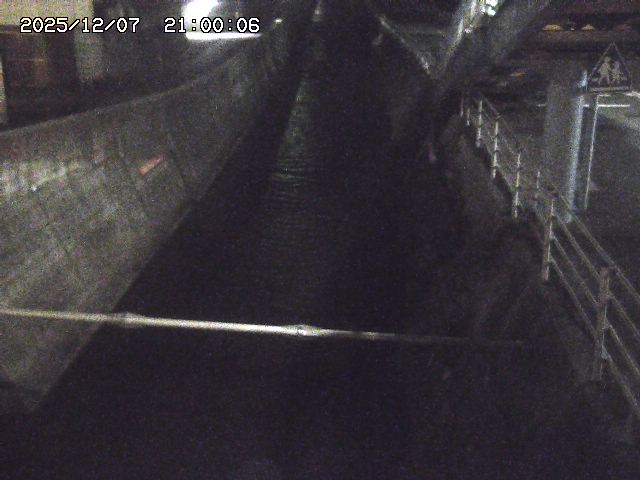 大井手川１2025/12/08 11:30:00