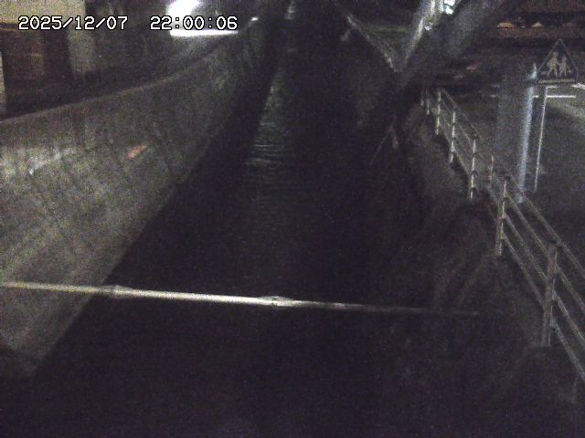 大井手川１2025/12/08 11:30:00