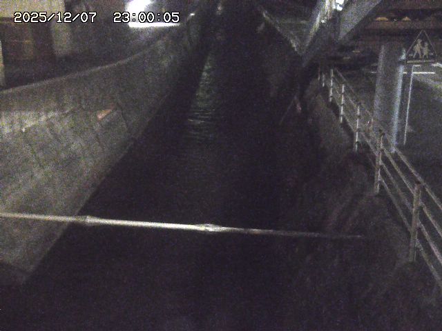 大井手川１2025/12/08 11:30:00