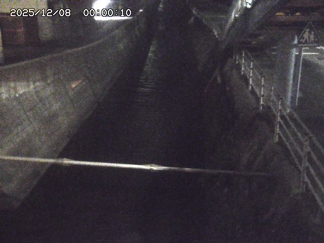 大井手川１2025/12/08 11:30:00