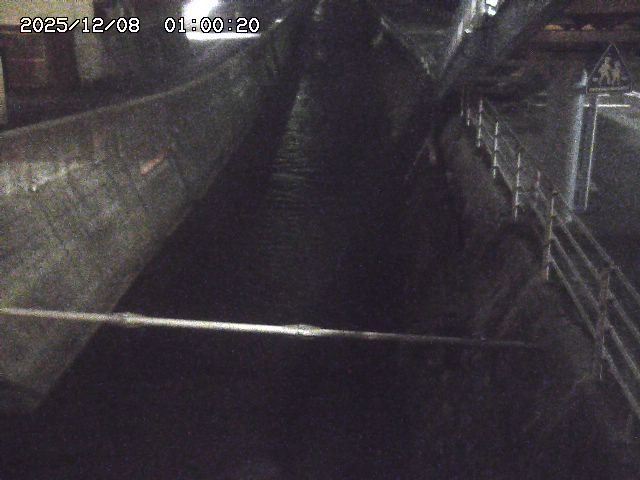 大井手川１2025/12/08 11:30:00