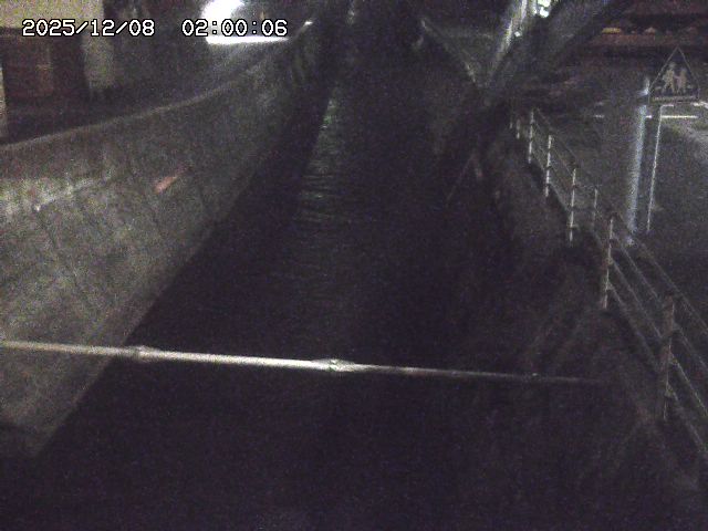 大井手川１2025/12/08 11:30:00