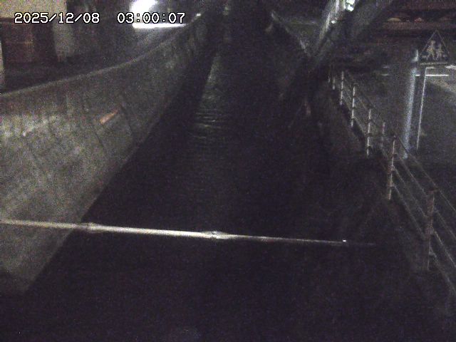 大井手川１2025/12/08 11:30:00