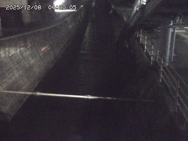 大井手川１2025/12/08 11:30:00